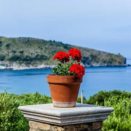 Bed & Breakfast Donnasilia